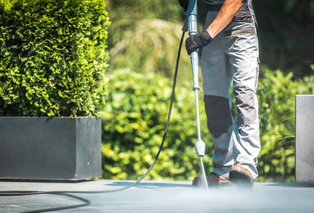 Best Sidewalk and Walkway Cleaning  in Indiana, PA