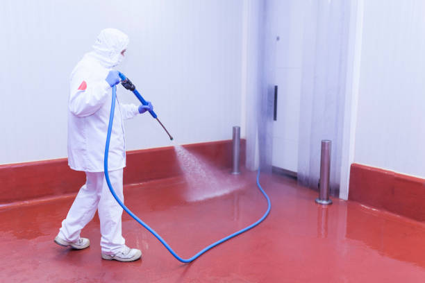 Best Patio and Deck Pressure Washing  in Indiana, PA